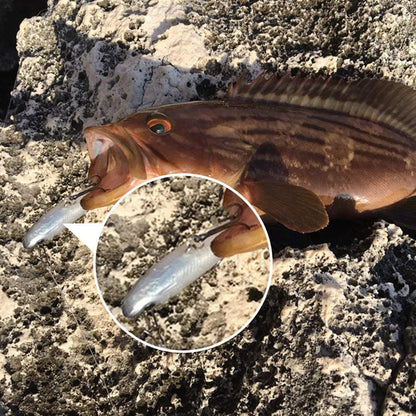 Soft Plastic Lure Kit 8cm (5 Pack)