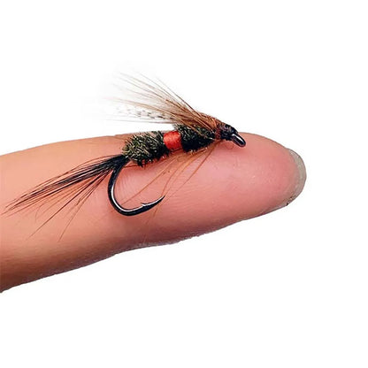 Assorted Dry and Wet Flies (10 Pack)