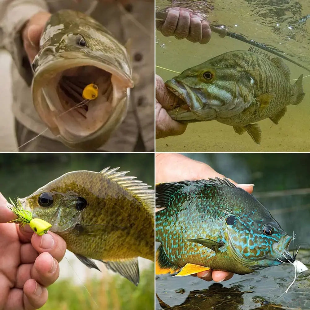 GOBAIT Topwater Popper Flies (5 Pack)