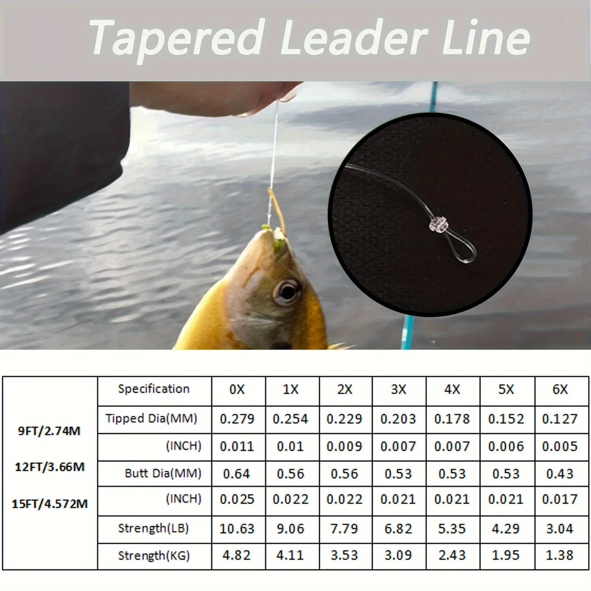 Aventik Pre-Tied Loop Tapered Leaders (6 Pack)