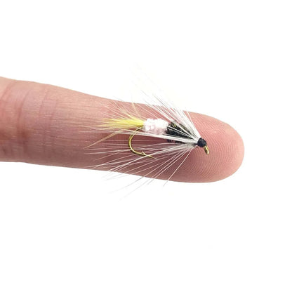 Assorted Dry and Wet Flies (10 Pack)