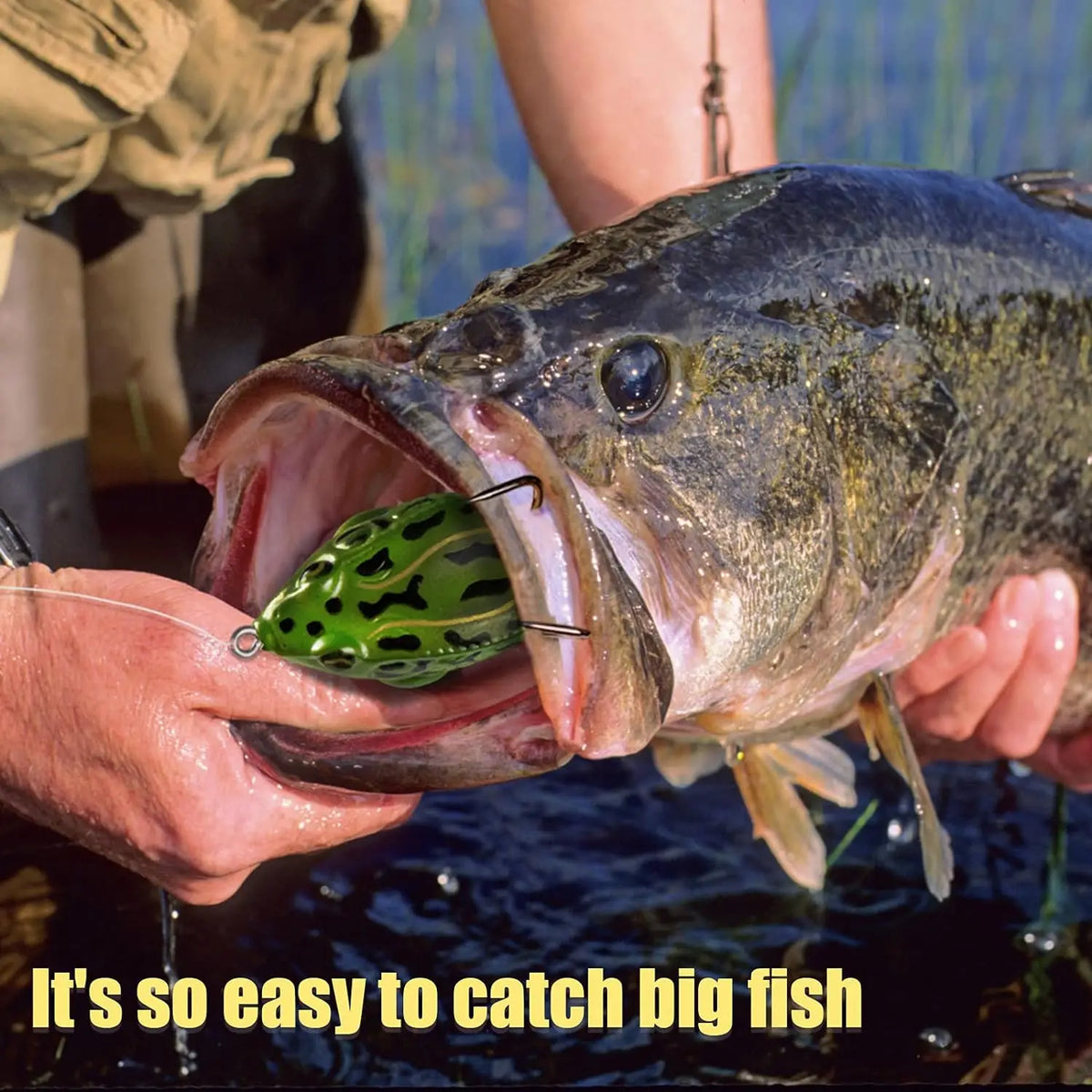 Topwater Prop Frog Lure Kit