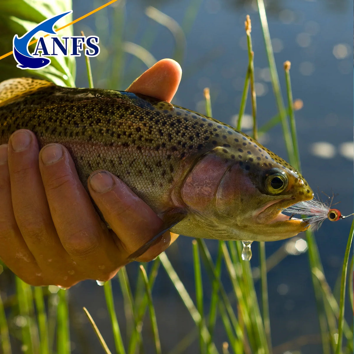 ANFS Fly Fishing Flies Kit with Fly Box