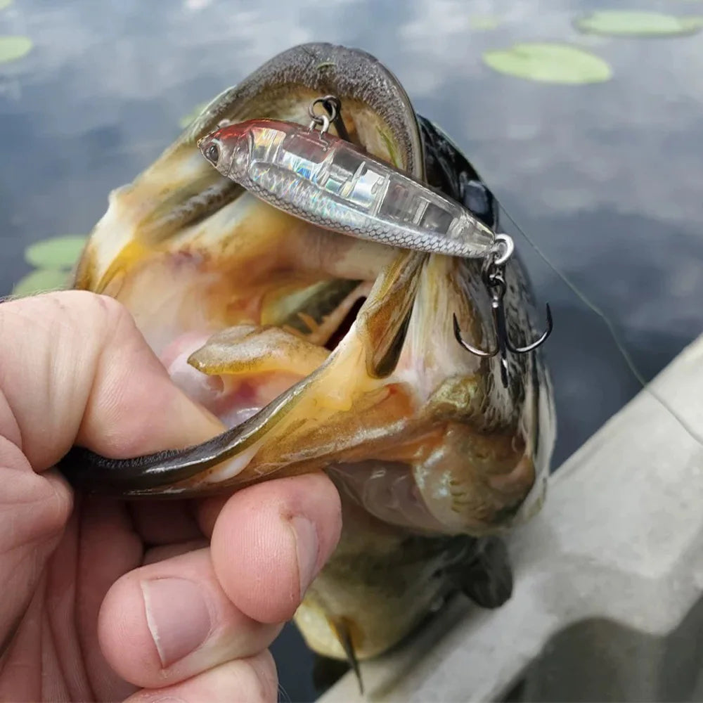 GOBAIT Floating Pencil Topwater Lure, 10cm Walk-the-Dog