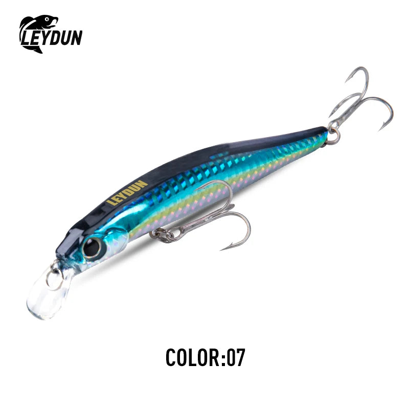 LEYDUN Artist FR Sinking Minnow Jerkbait