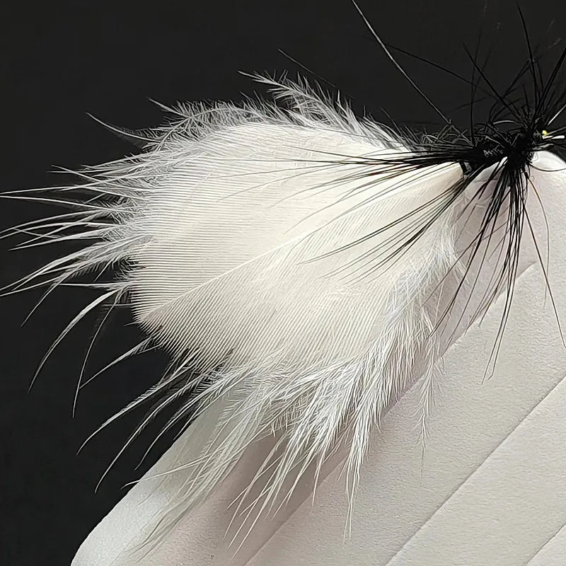 Dry Fly Moth and Insect Flies (5 Pack)