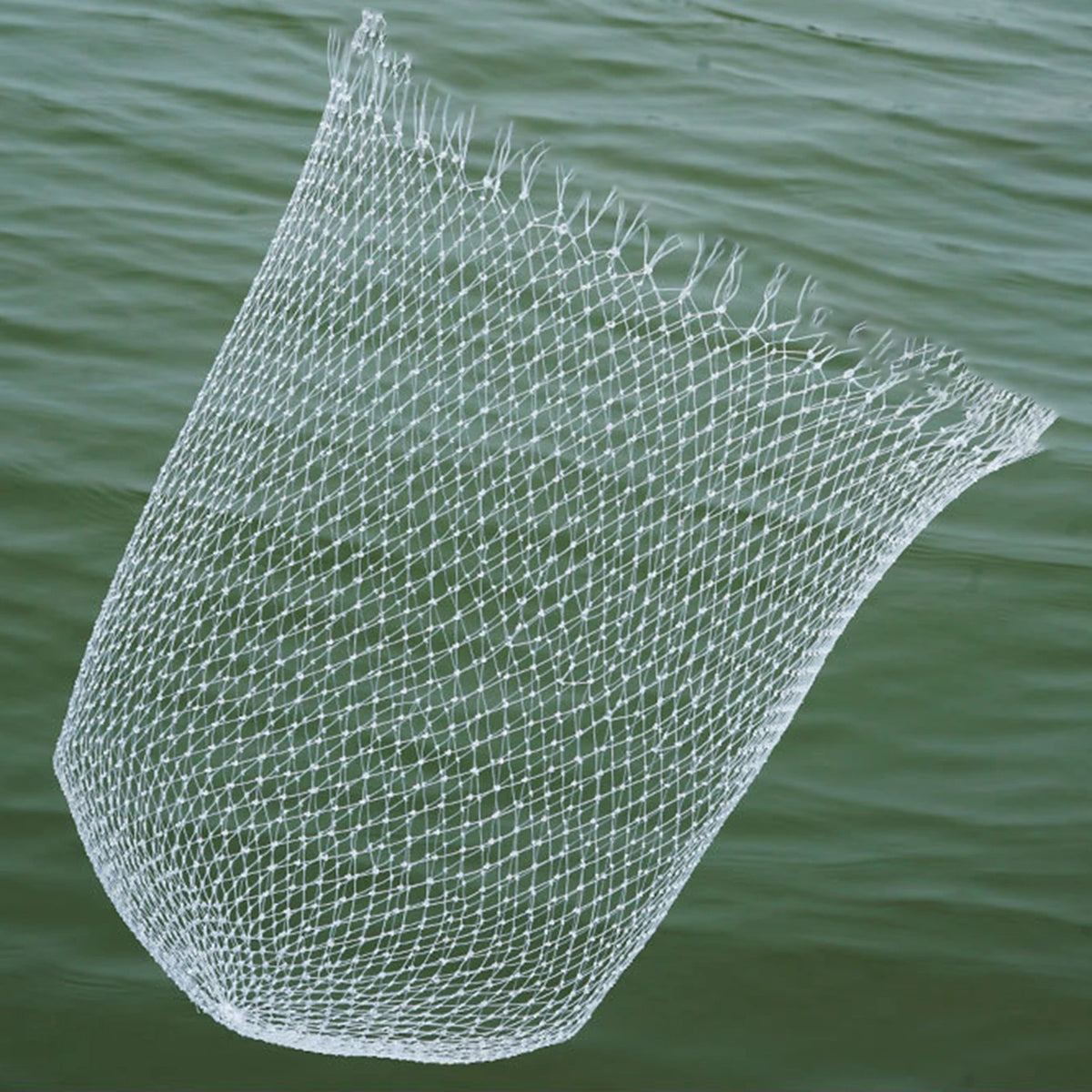 Folding Catch and Release Landing Net