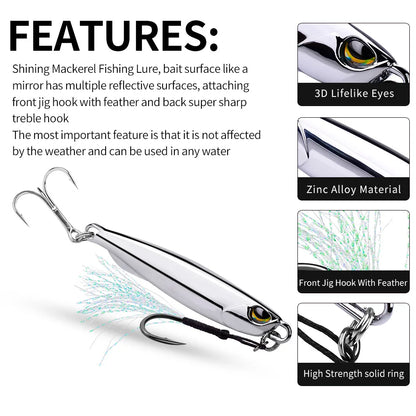 PRO BEROS Electroplated Spoon Metal Jig (10-80g)