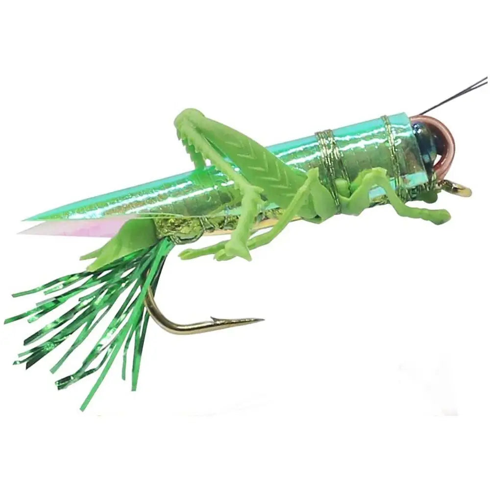 Grasshopper Insect Hard Baits (Size 2 and 6)