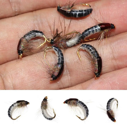 Bimoo Realistic Scud and Caddis Nymphs #12 (6 Pack)