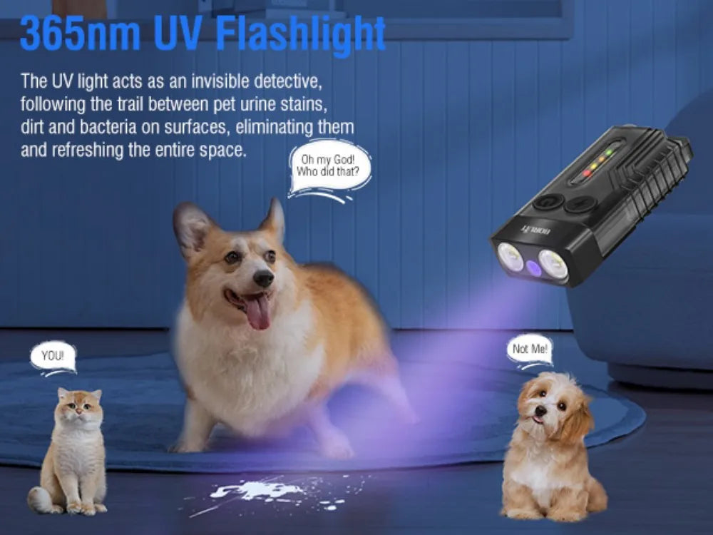 BORUiT V10 UV Keychain Flashlight – 1000LM, Type-C, Magnetic