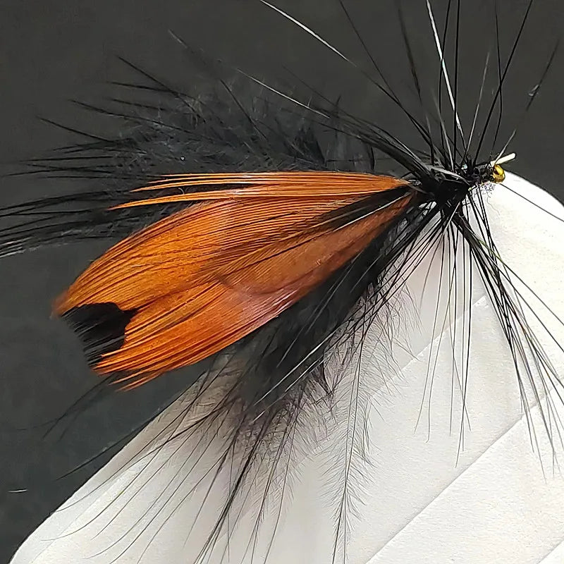 Dry Fly Moth and Insect Flies (5 Pack)