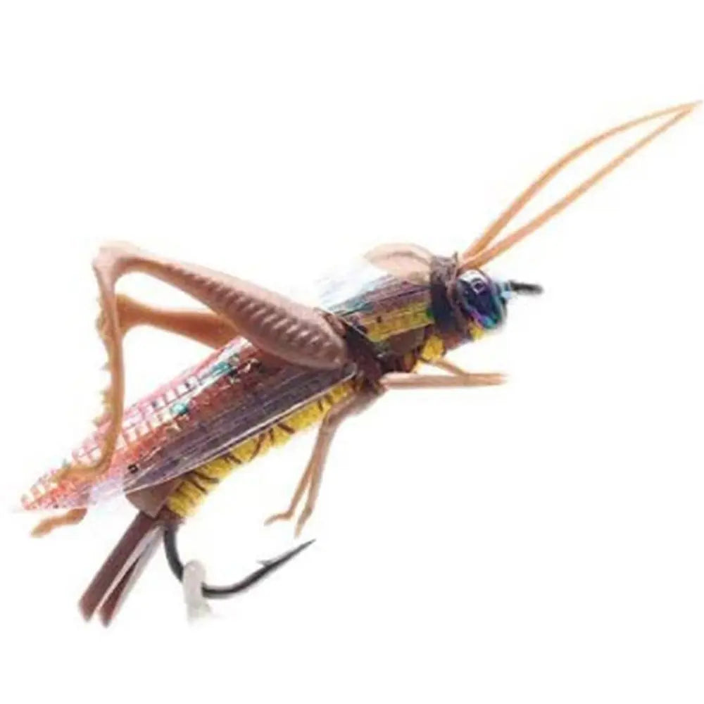 Grasshopper Insect Hard Baits (Size 2 and 6)