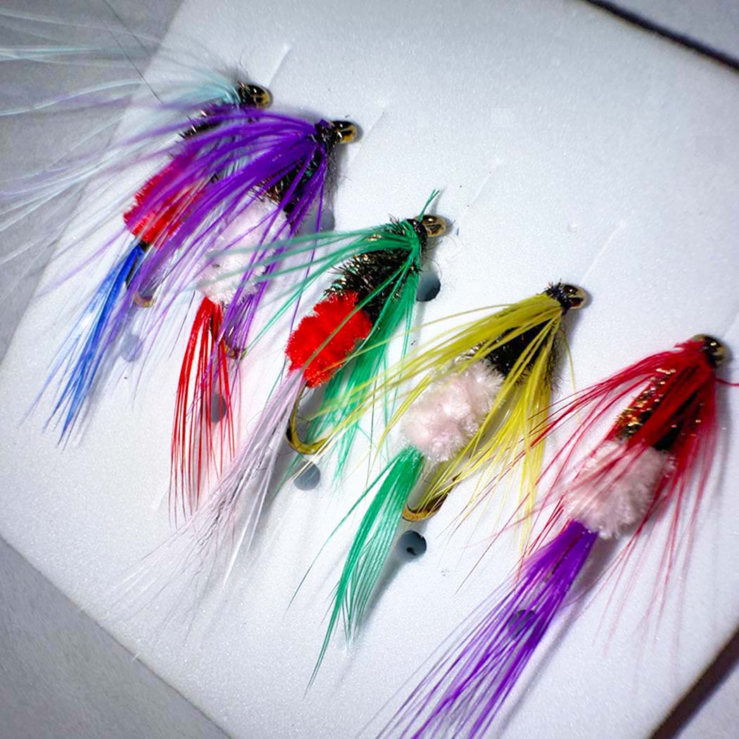 Assorted Dry and Wet Flies (10 Pack)