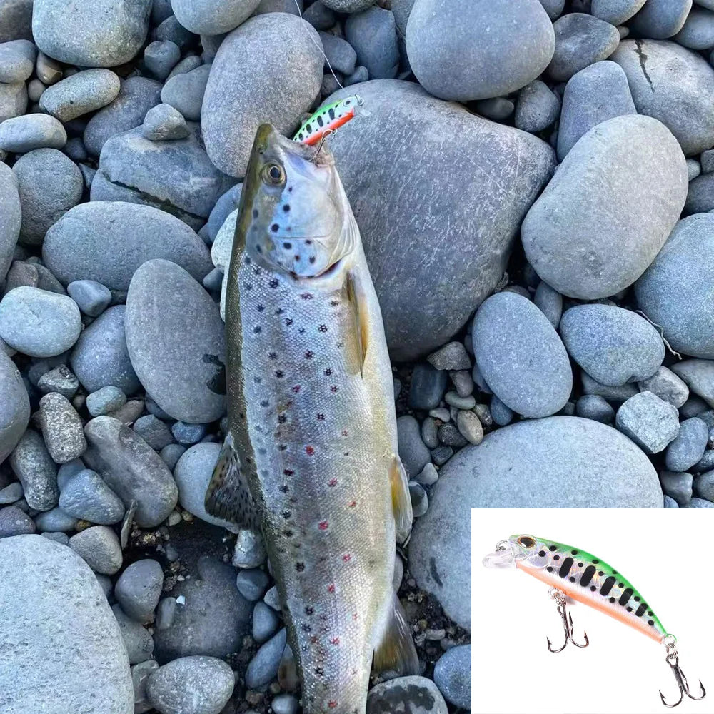 5pcs Fishing Lure Kit Sinking Minnow Trout Artificial Bait Crank Bait Bass Hook Wobbler Fishing Tackle Box Floating Jerkbait