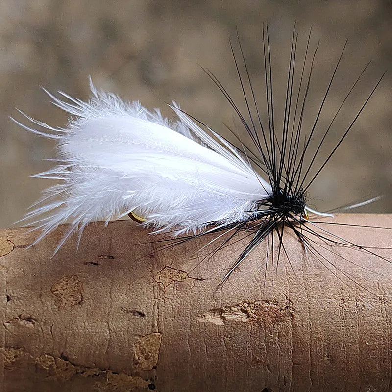 Dry Fly Moth and Insect Flies (5 Pack)