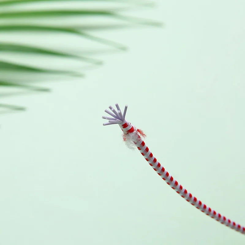10M 2-3mm Tent Accessories Tent Pole DIY Rubber Band 2-3mm Red Dot Latex Elastic Rope Strong Underwear Elastic Rope