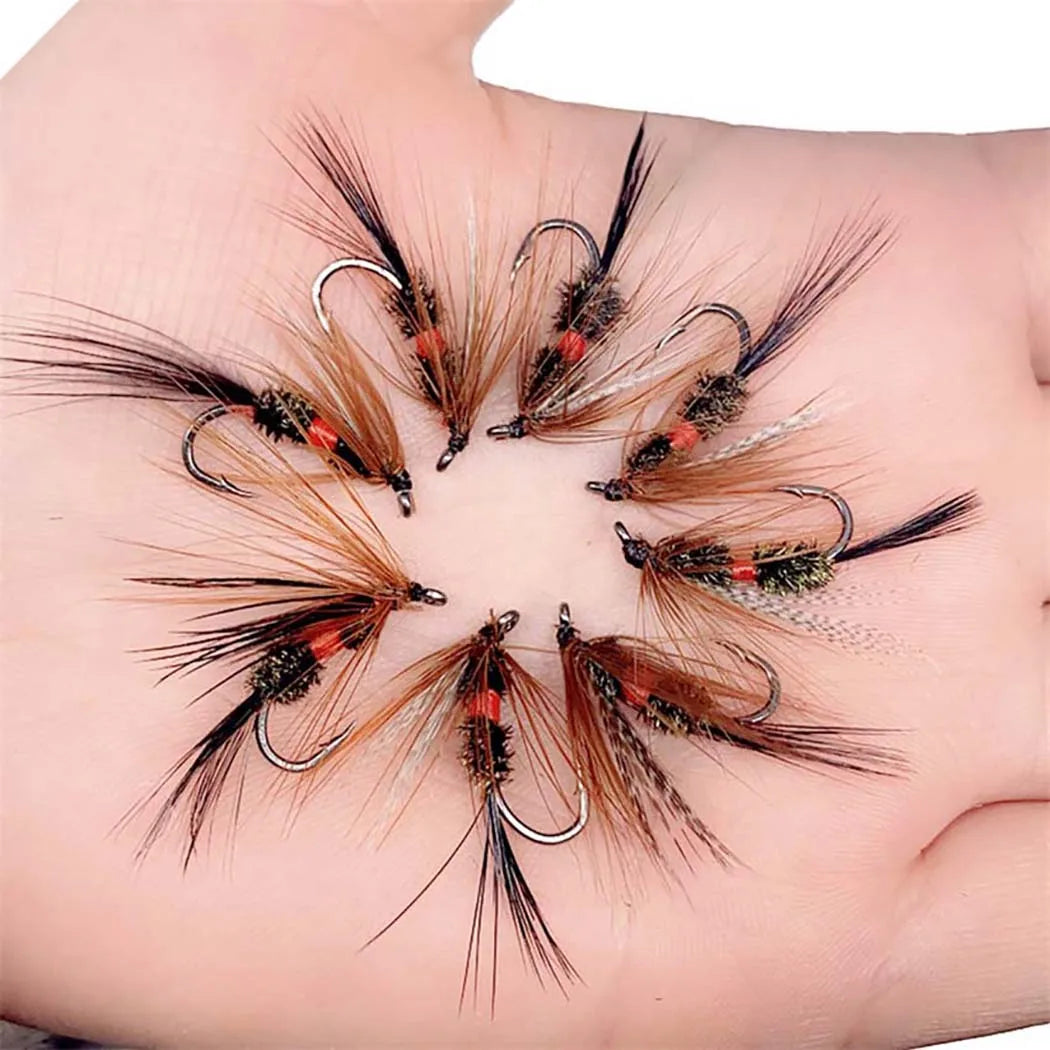 Assorted Dry and Wet Flies (10 Pack)