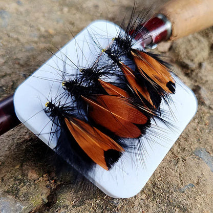 Dry Fly Moth and Insect Flies (5 Pack)