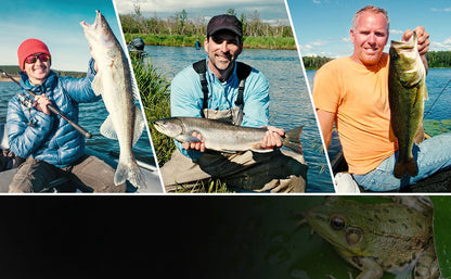 Topwater Prop Frog Lure Kit