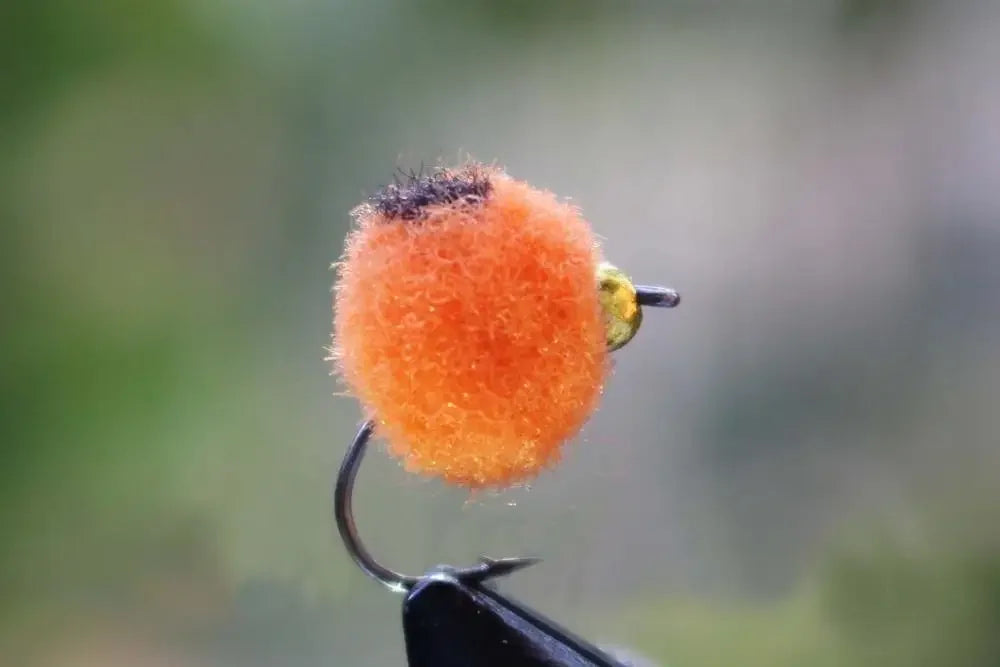 Tigofly Beadhead Egg Flies with Box (36 Pack)