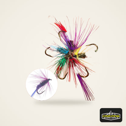 Assorted Dry and Wet Flies (10 Pack)