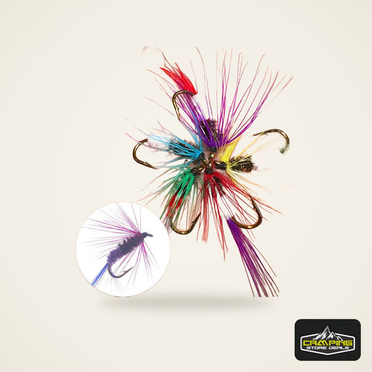 Assorted Dry and Wet Flies (10 Pack)