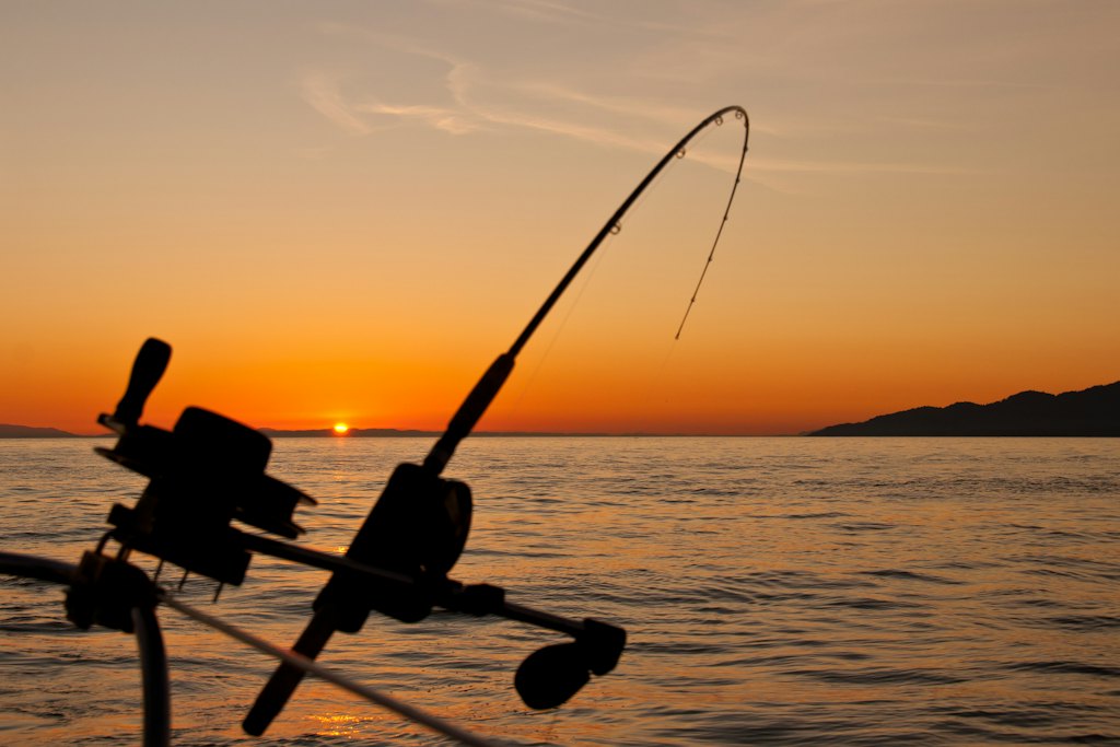 Fishing HQ: tackle finder, bite forecast & tech